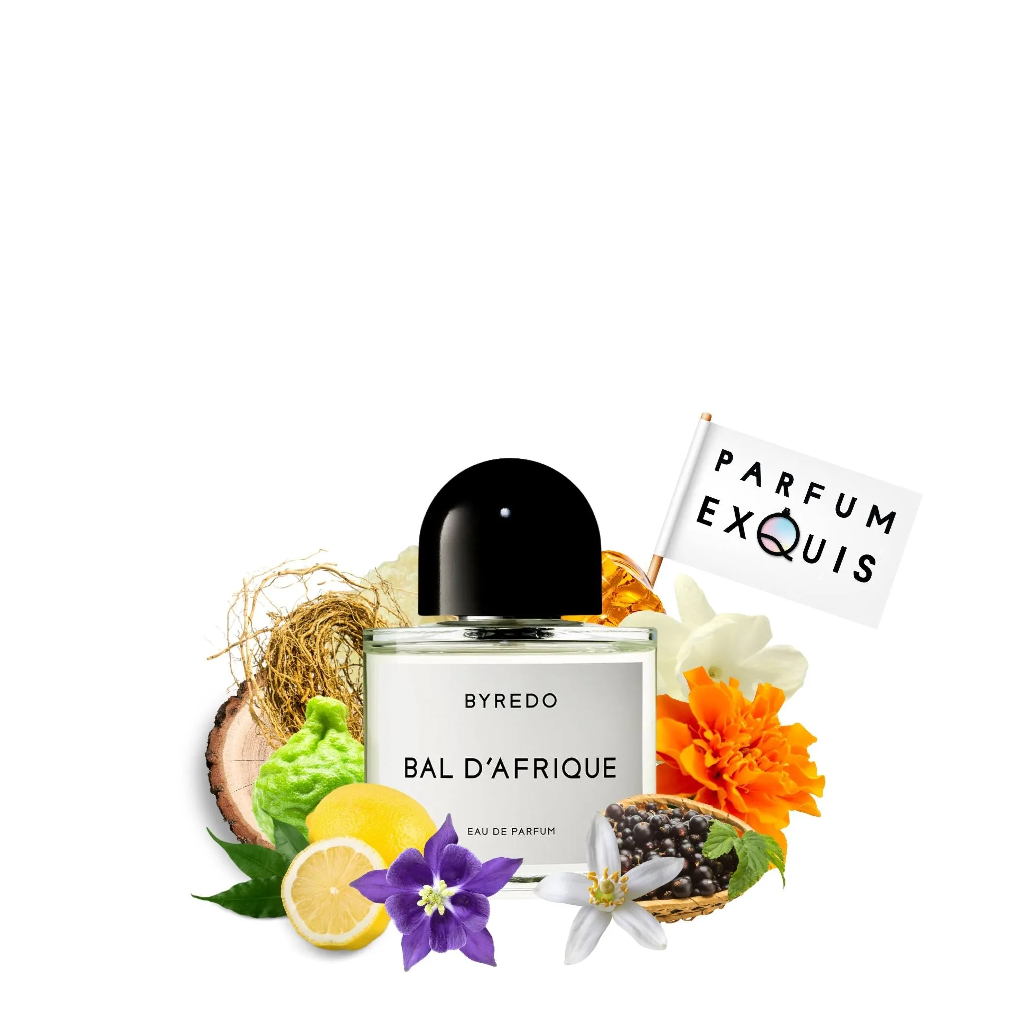 Bal d'Afrique