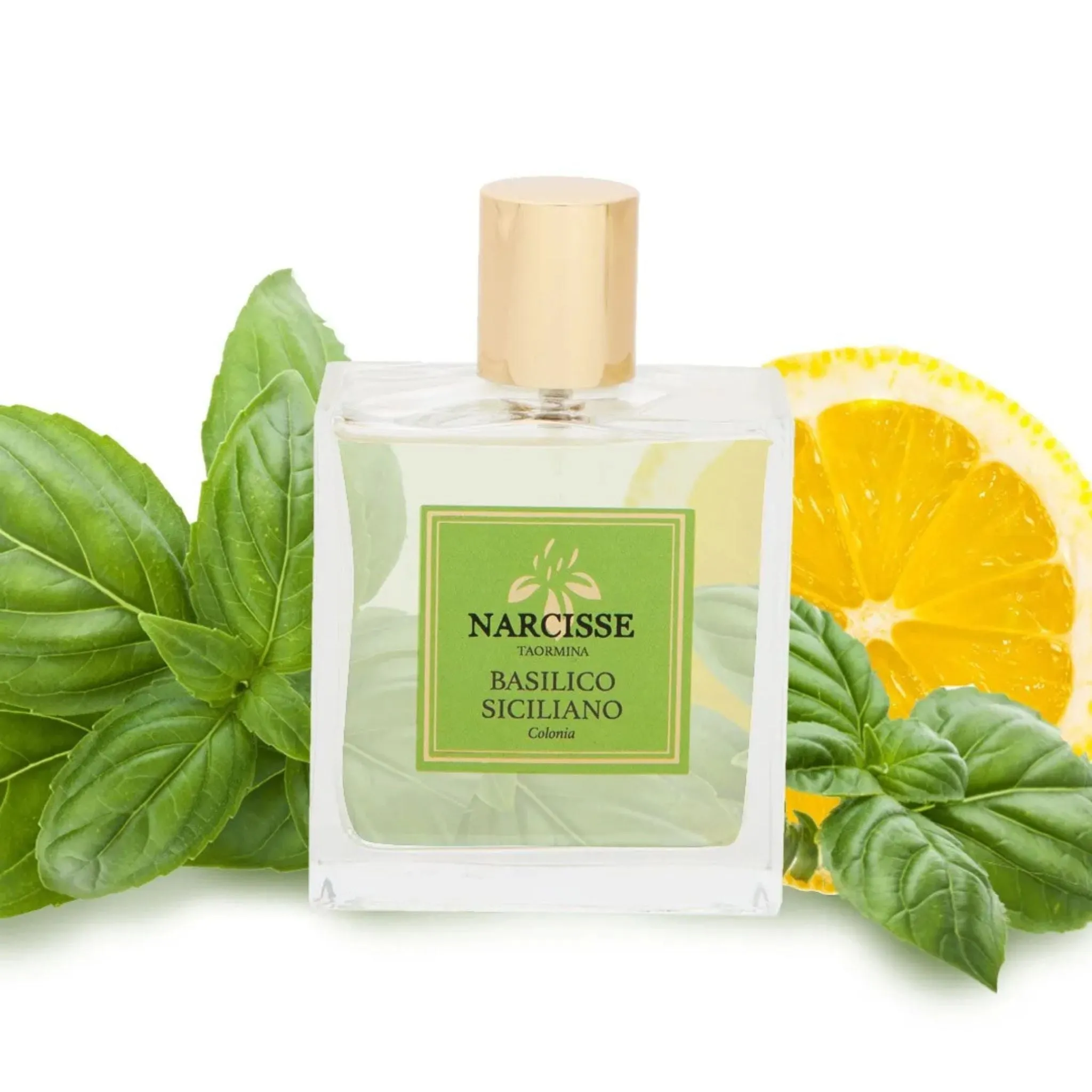 Basilico Siciliano