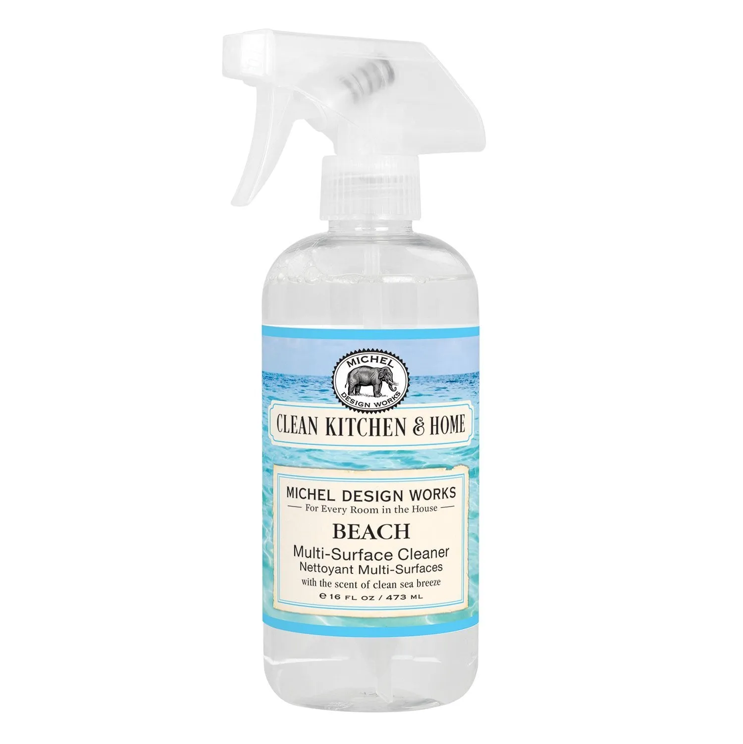 Beach Multi-Surface Cleaner