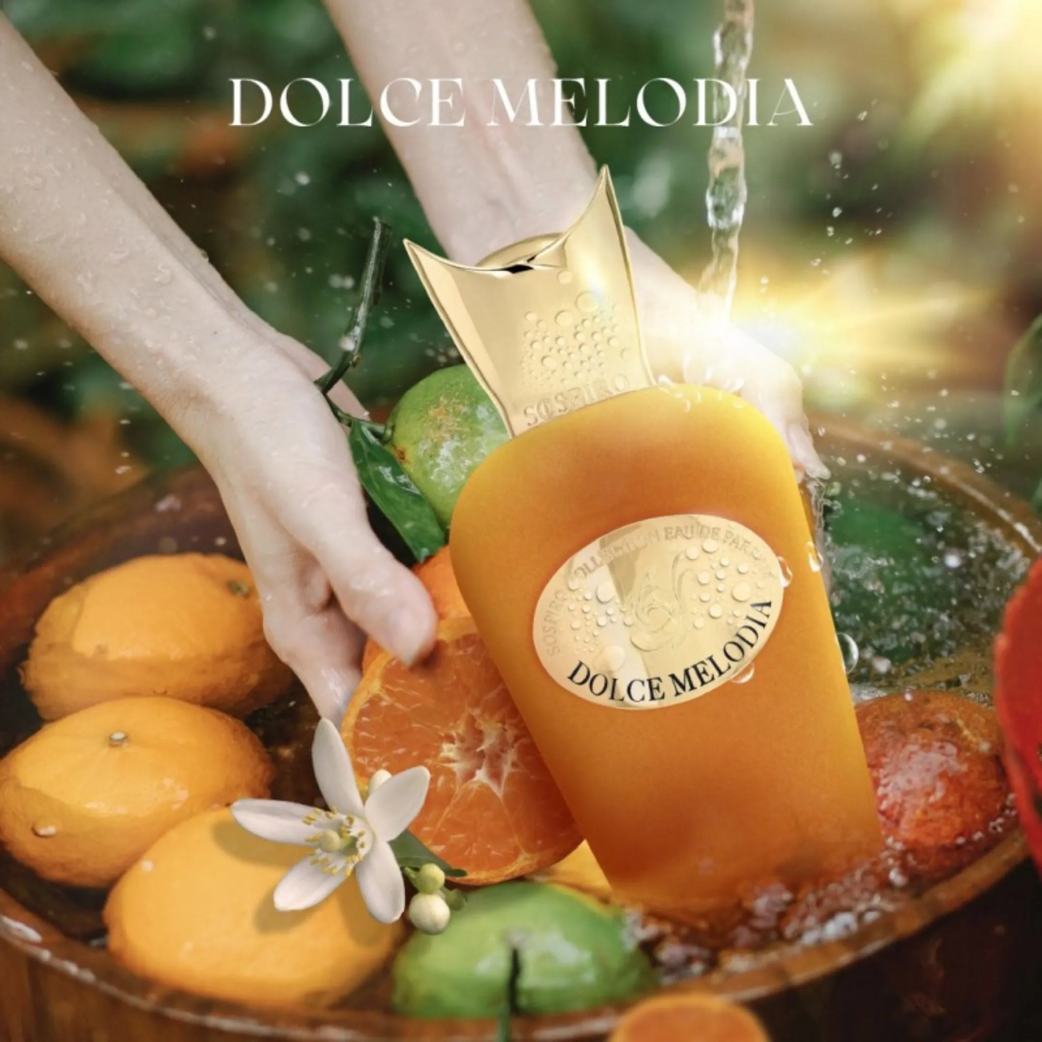 Dolce Melodia