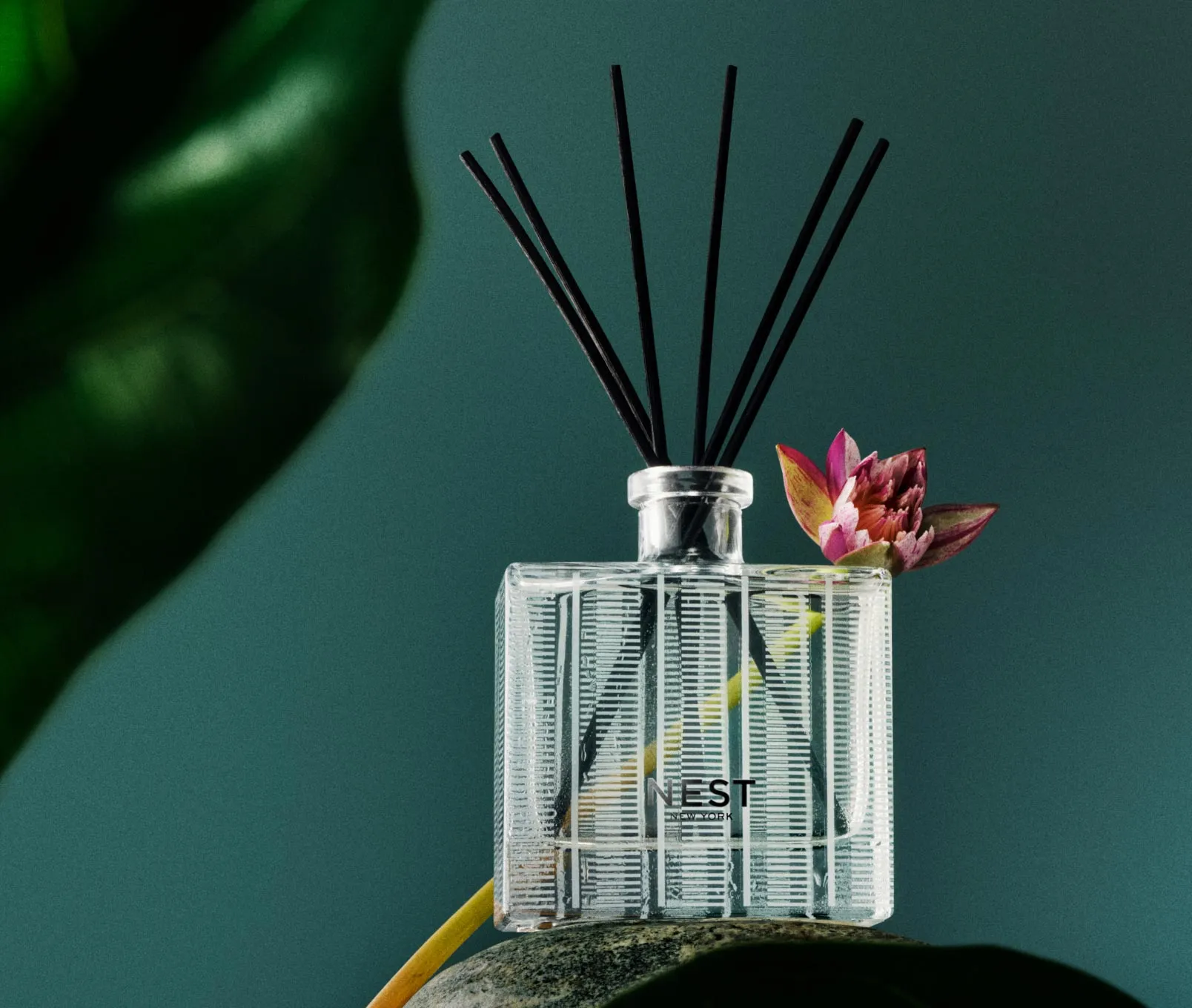 Forest Rain Reed Diffuser Nest New York