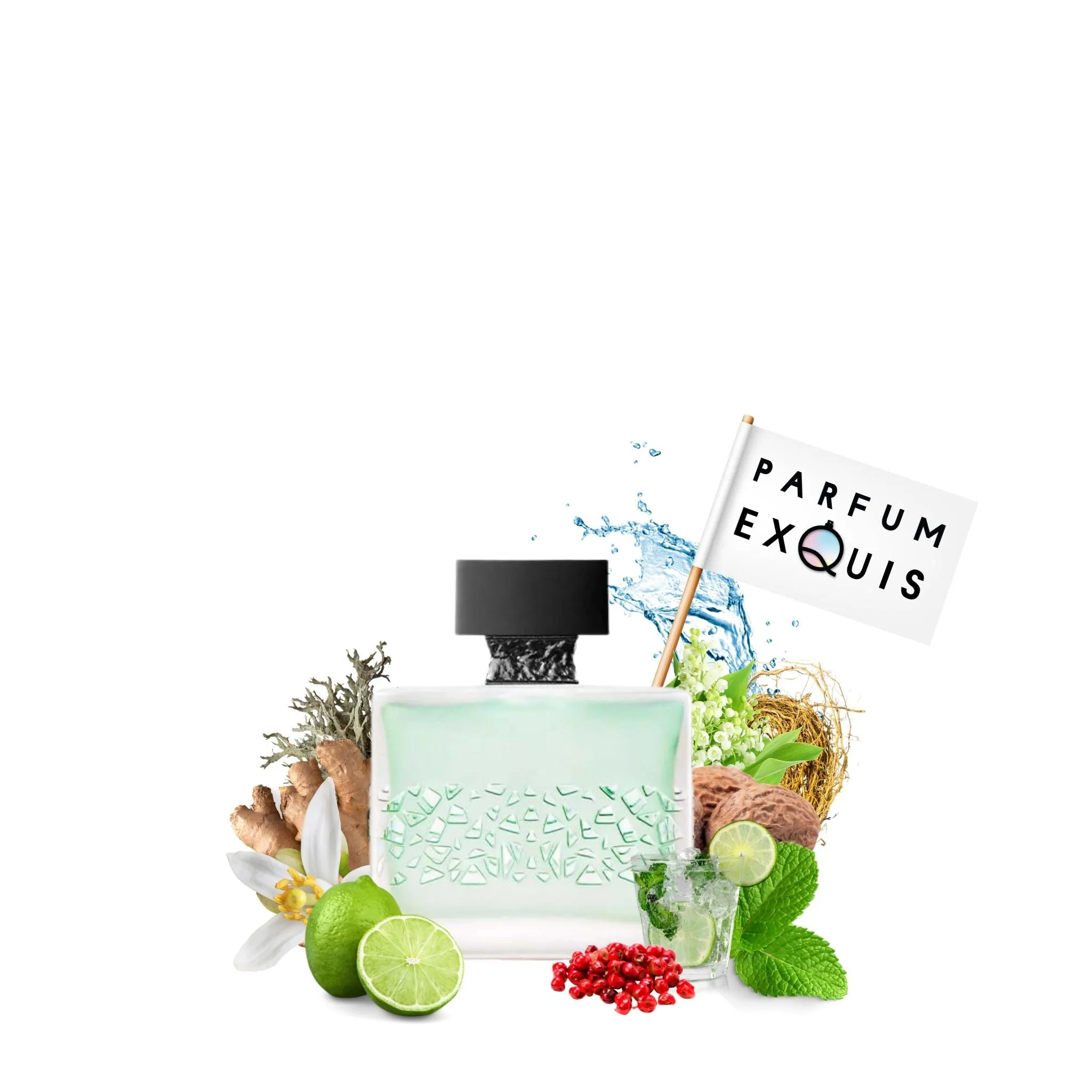 GnTonic