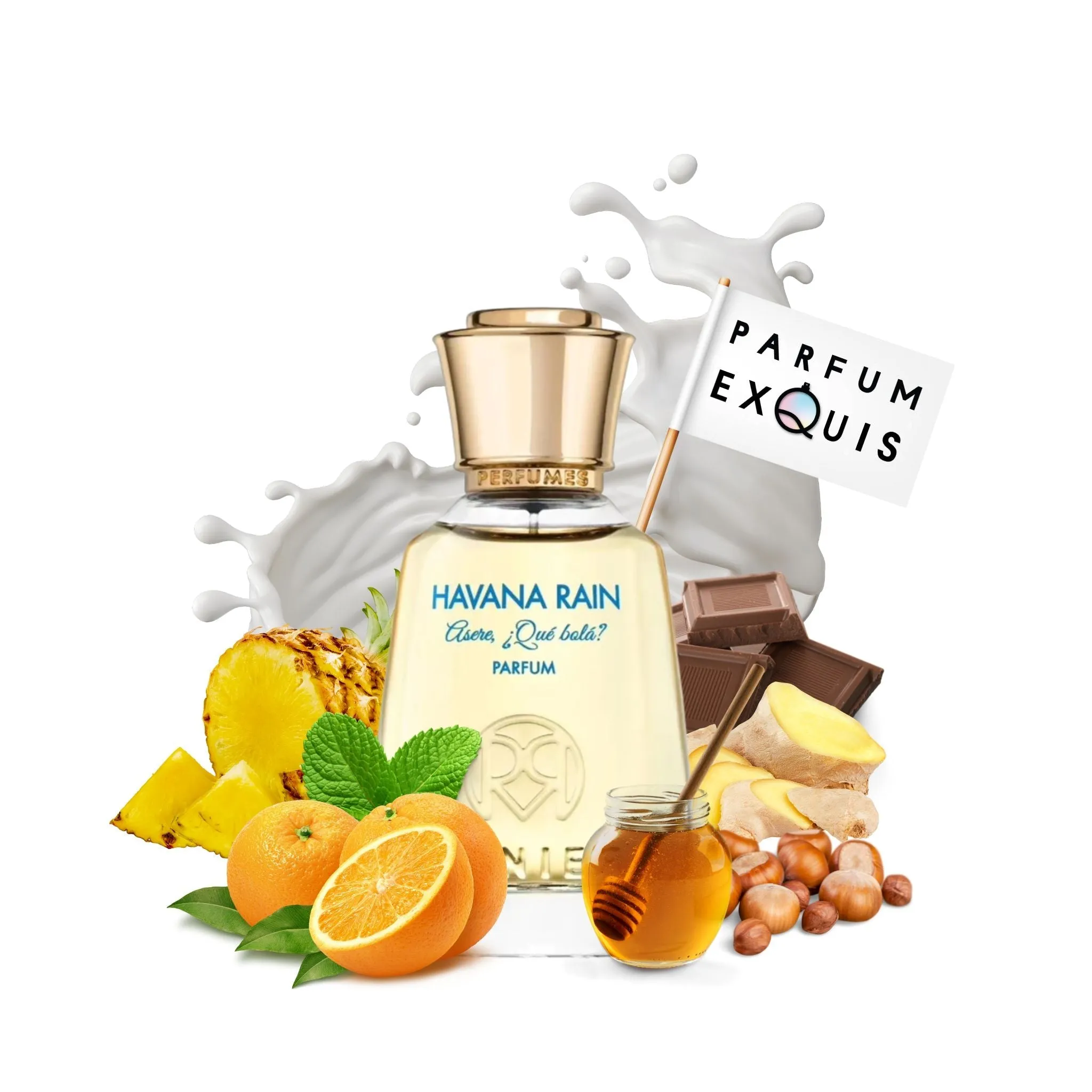 Havana Rain