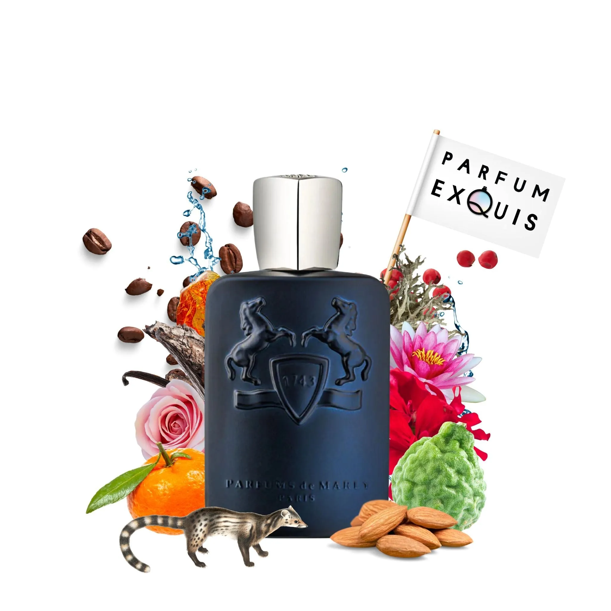 Layton Exclusif