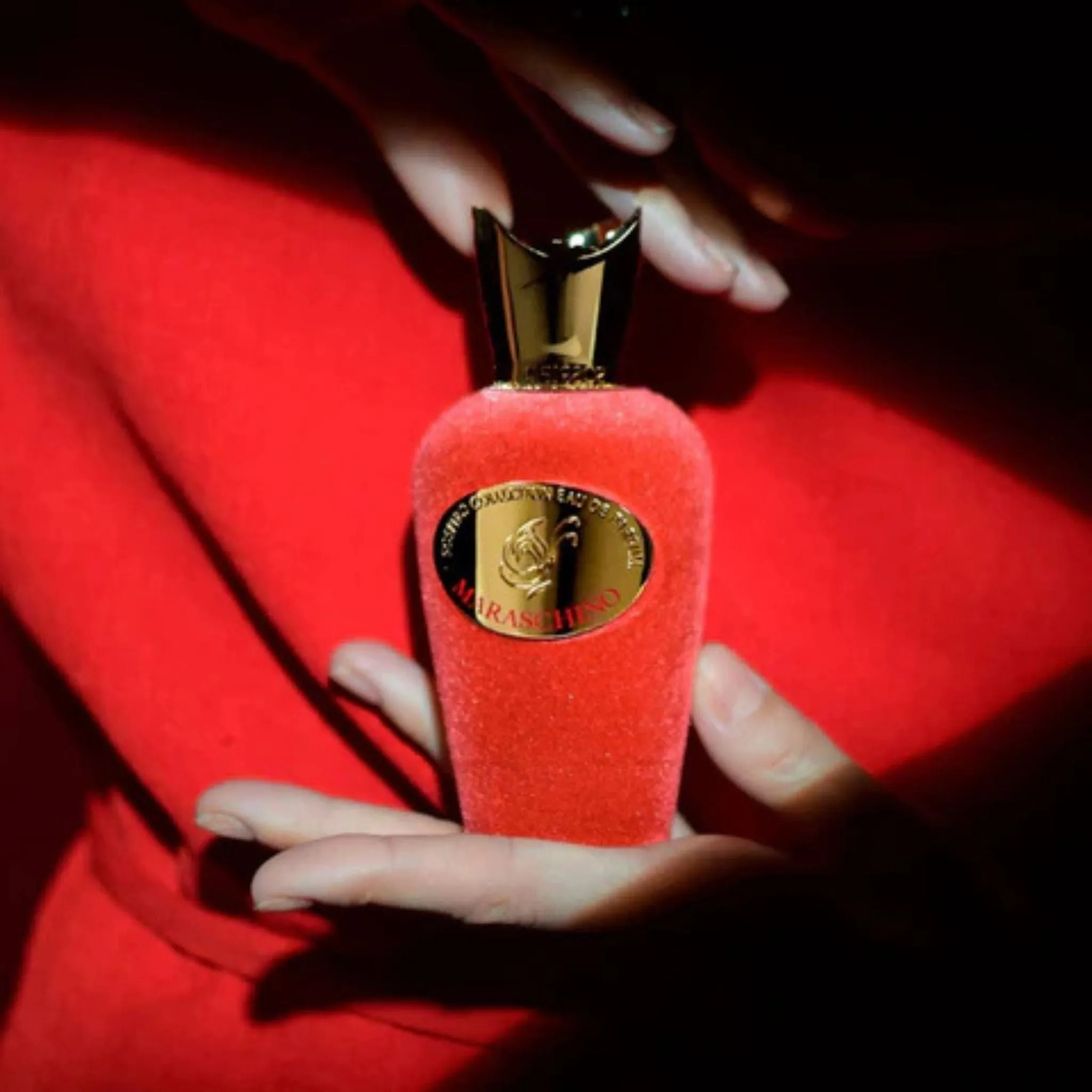 Maraschino