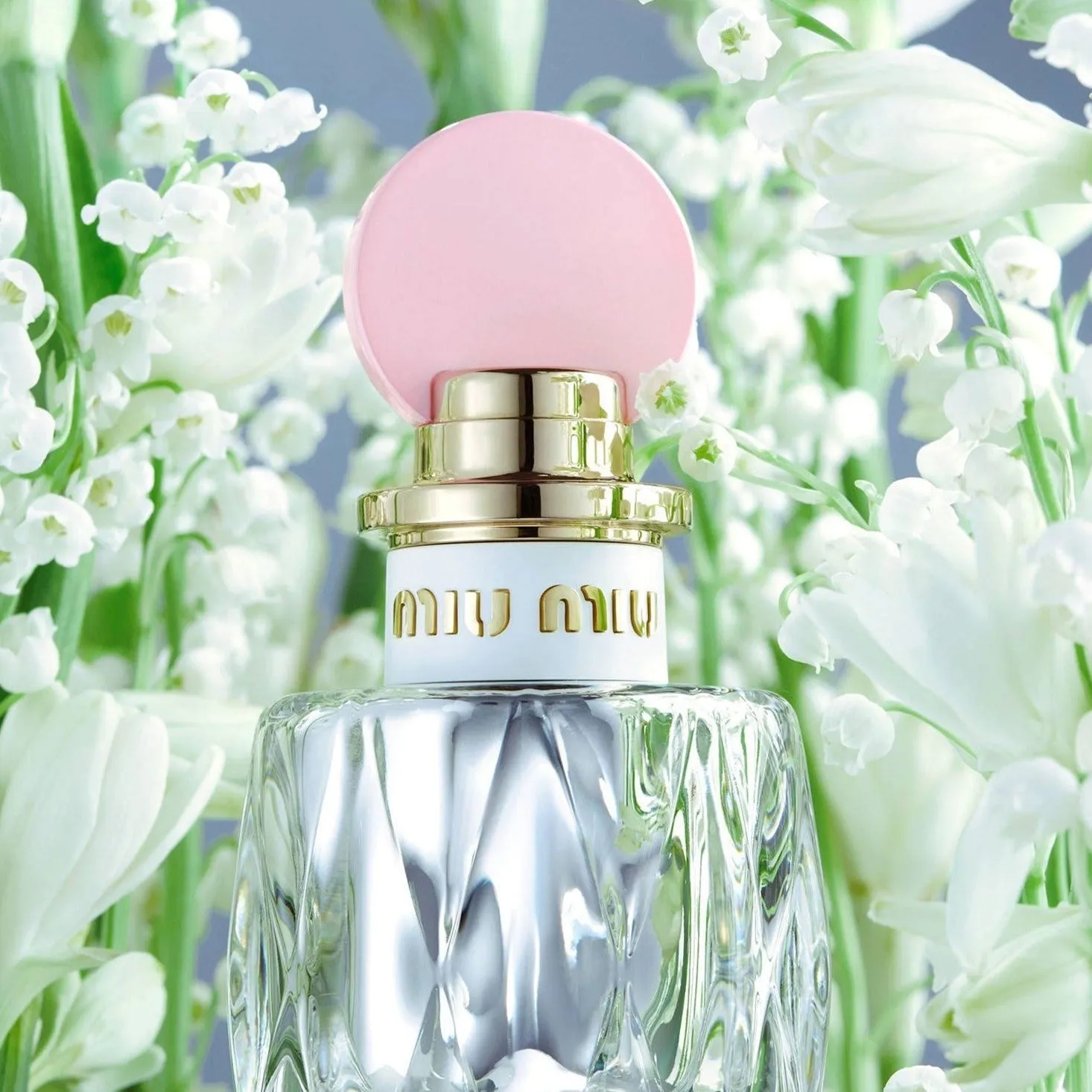 Miu Miu Fleur d'Argent EDP Absolue