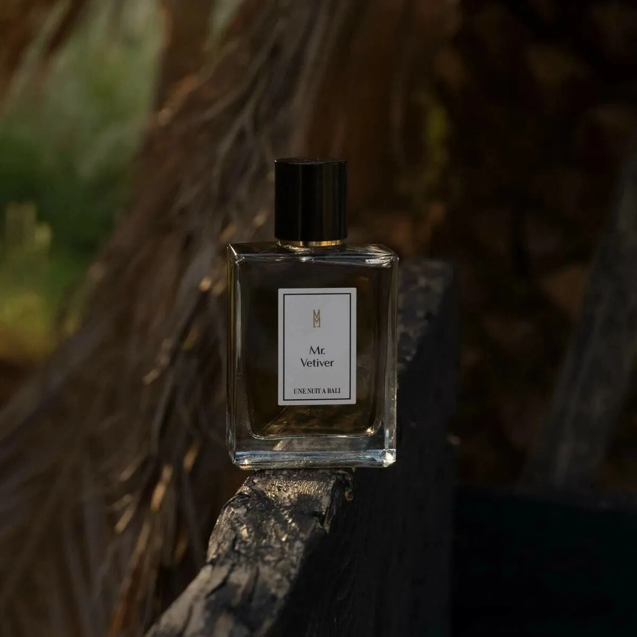 Mr Vetiver