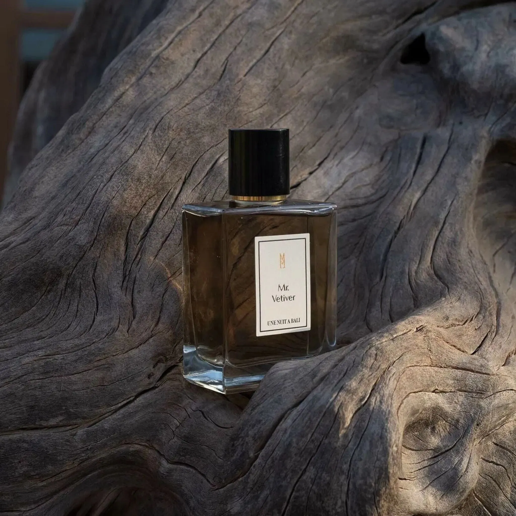 Mr Vetiver