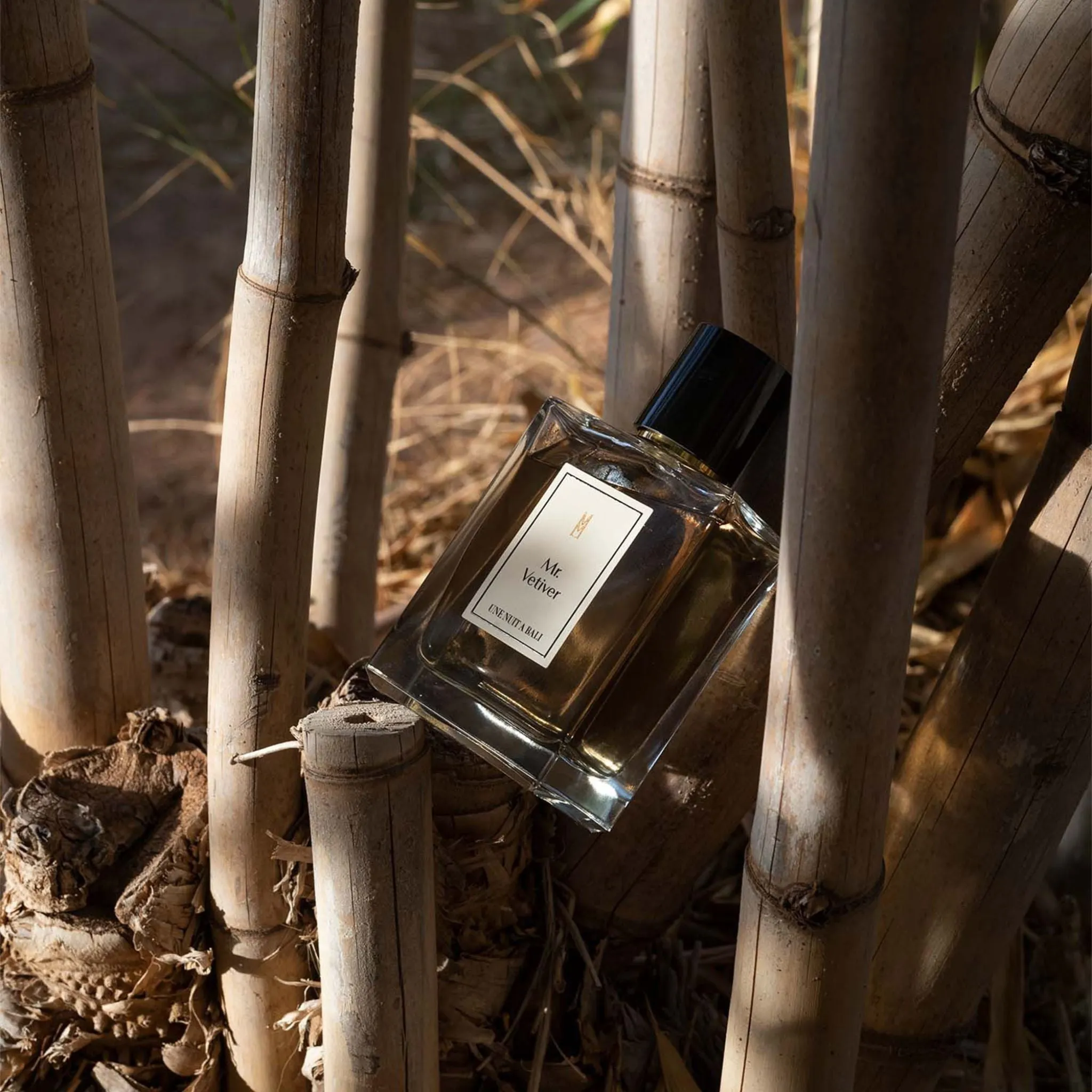 Mr Vetiver