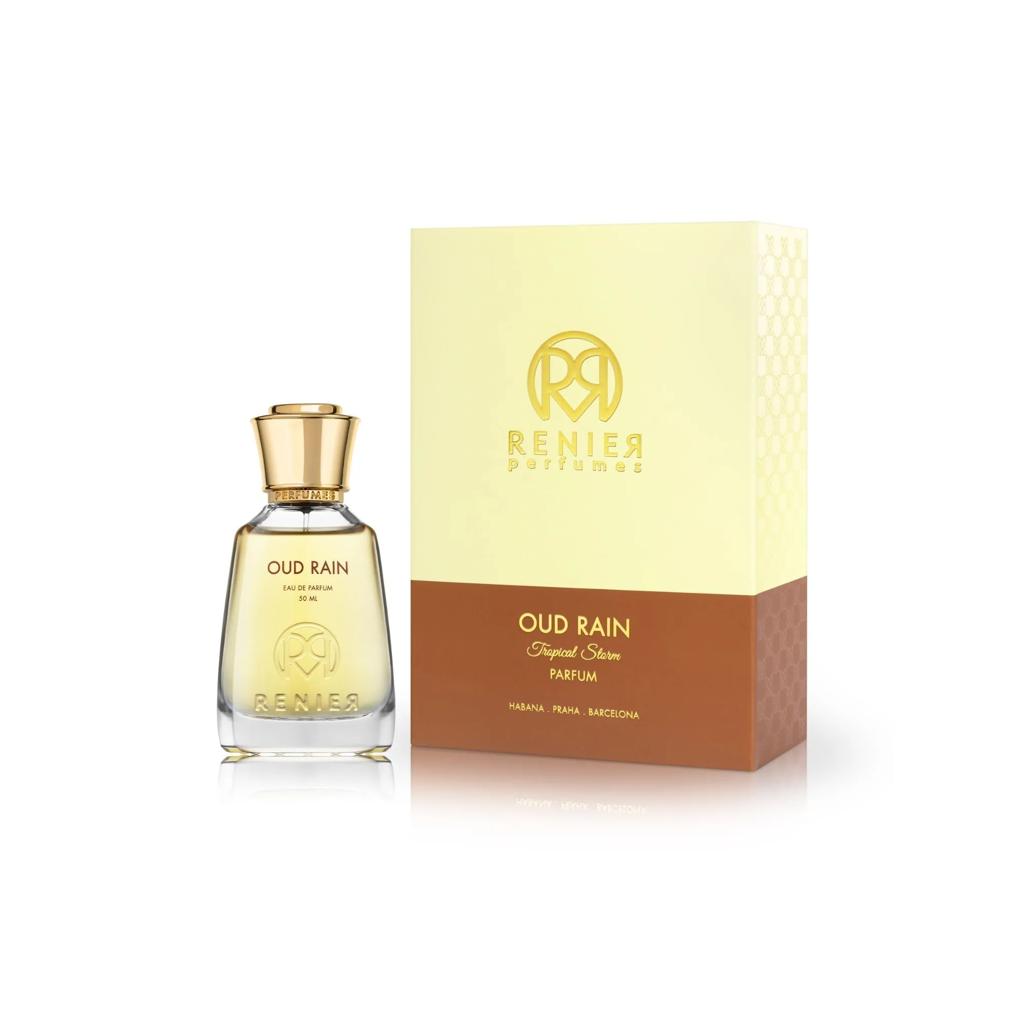 Oud Rain Tropical Storm