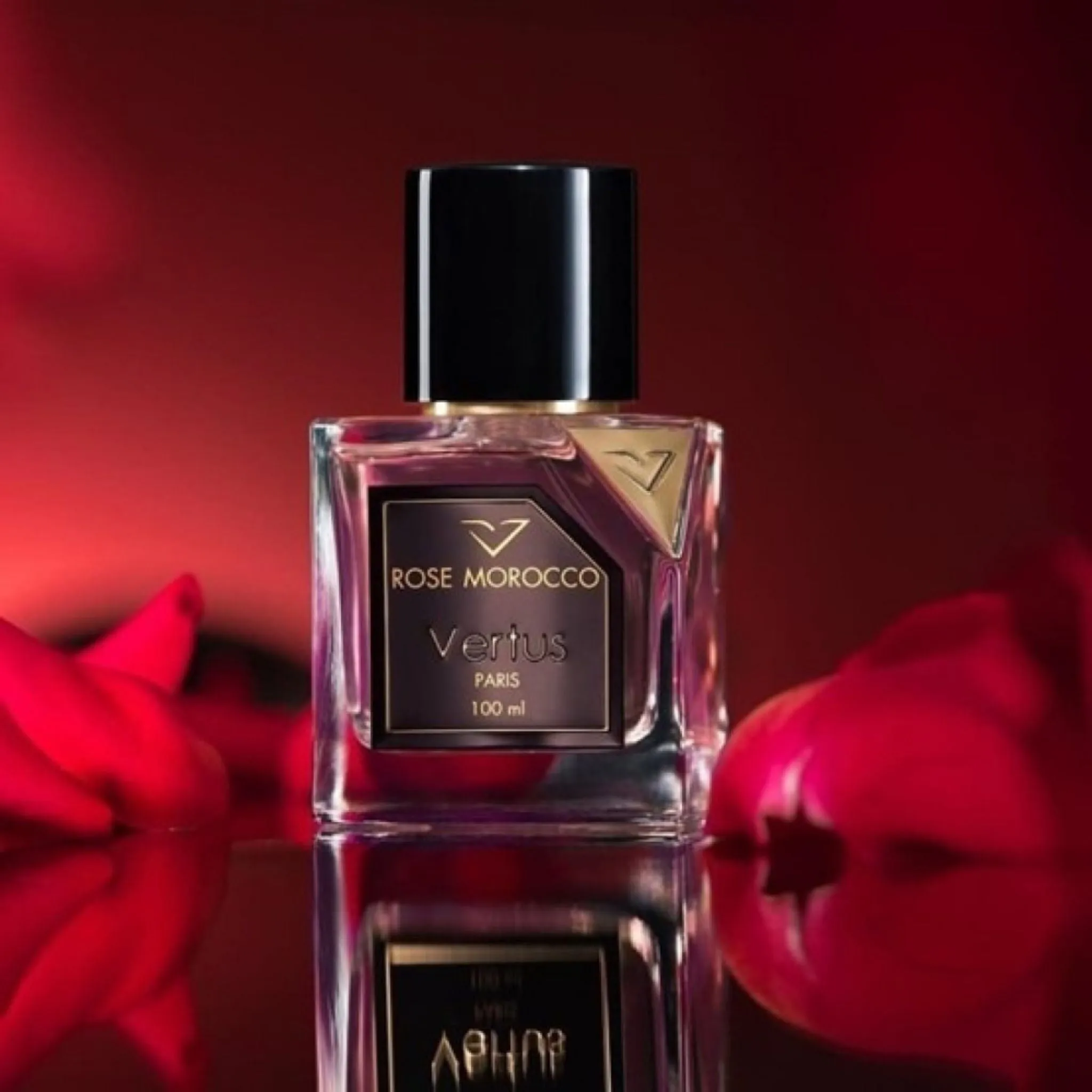 Rose Morocco