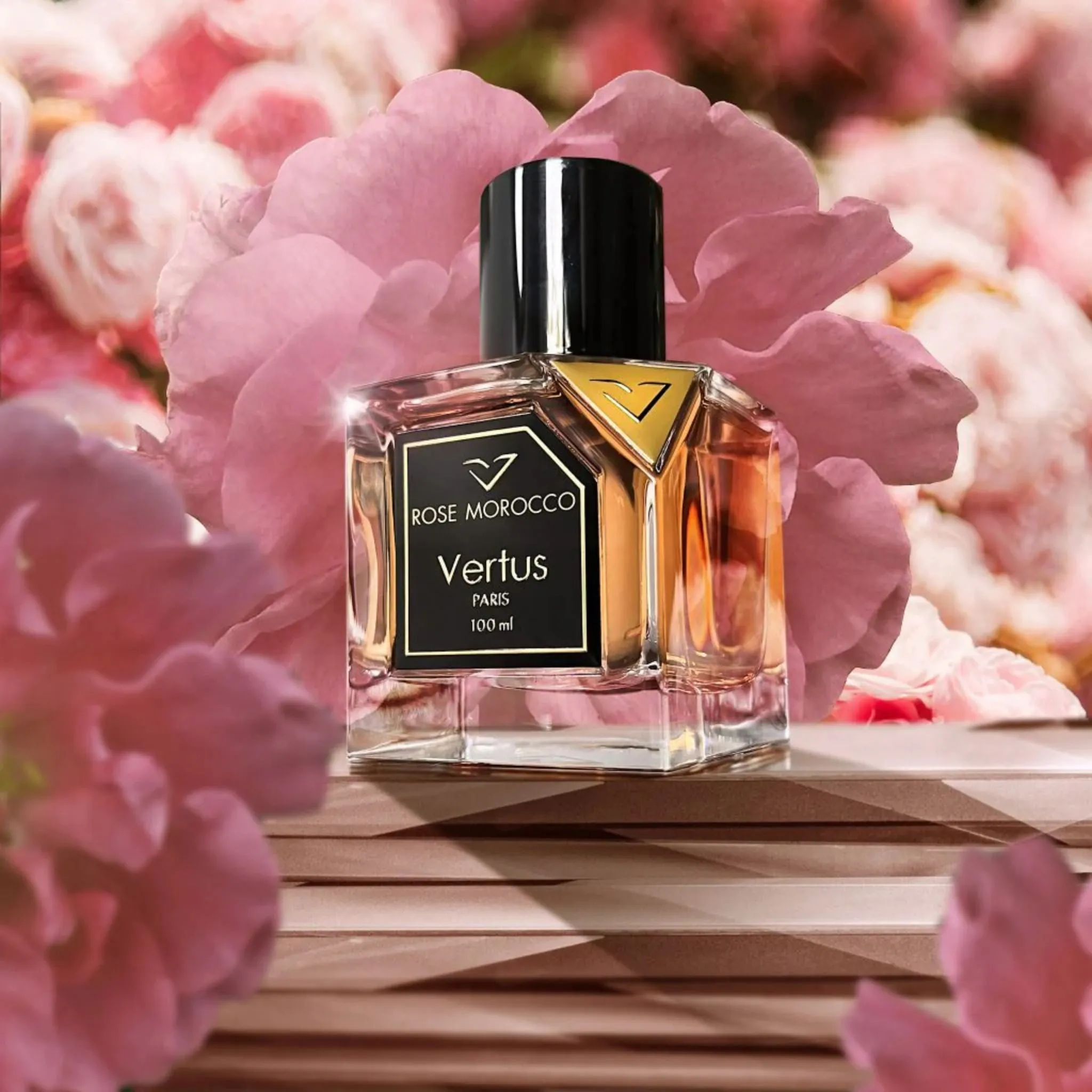 Rose Morocco