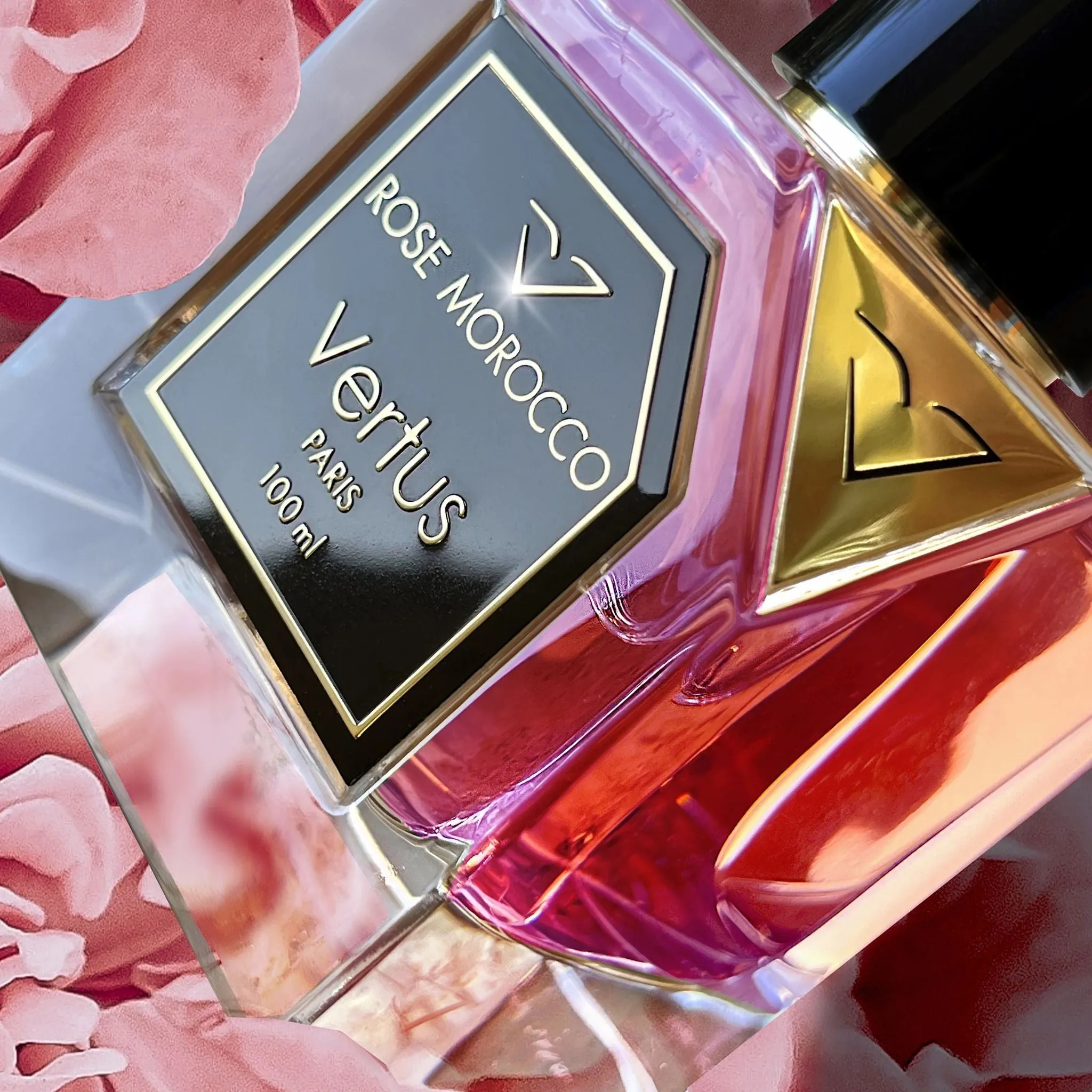 Rose Morocco