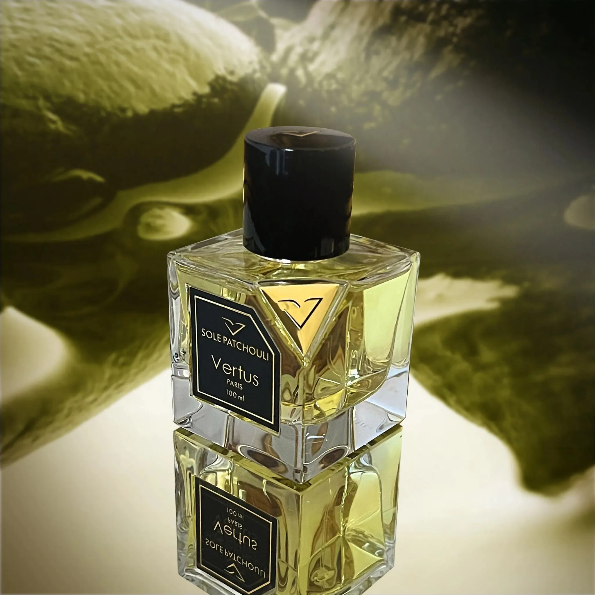 Sole Patchouli