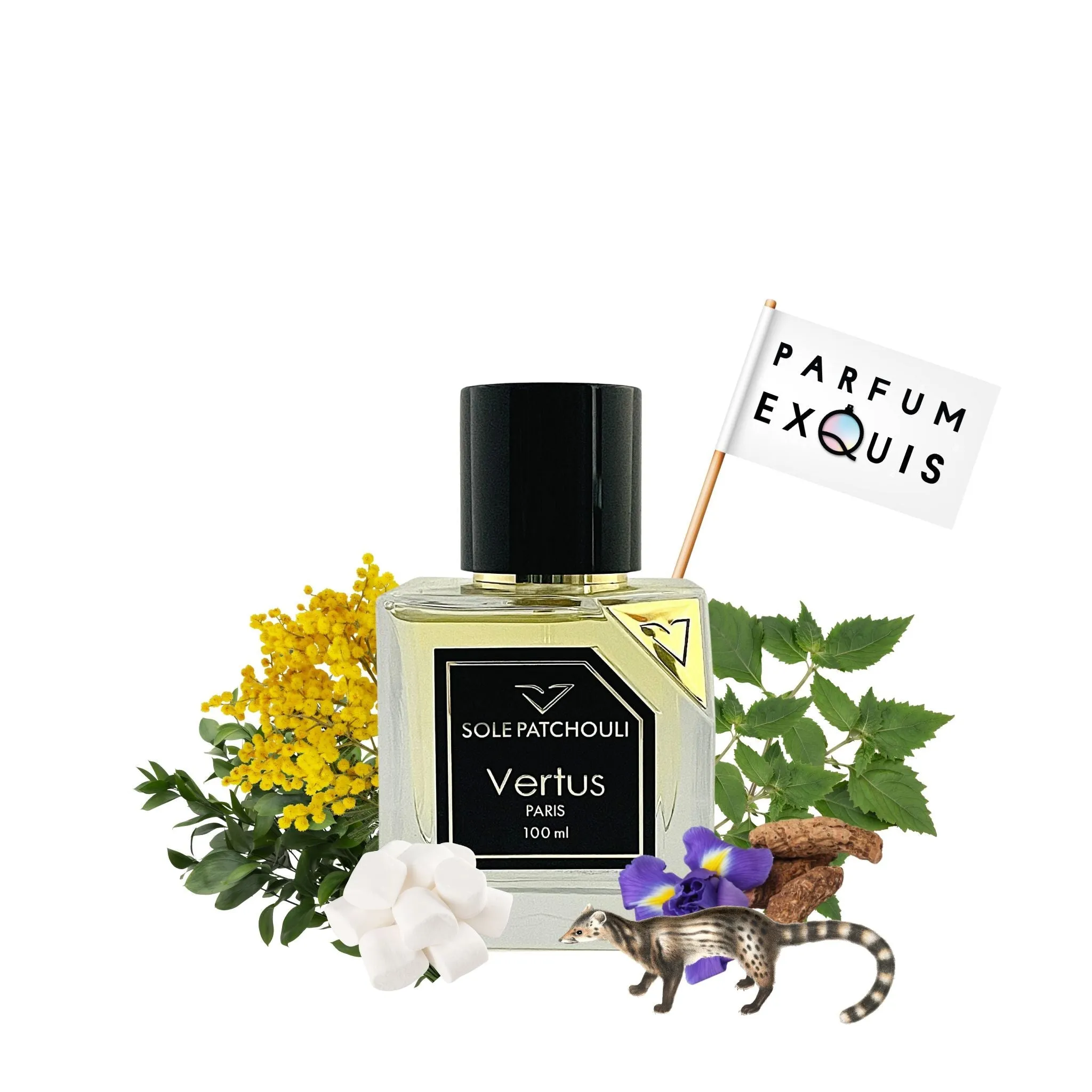 Sole Patchouli