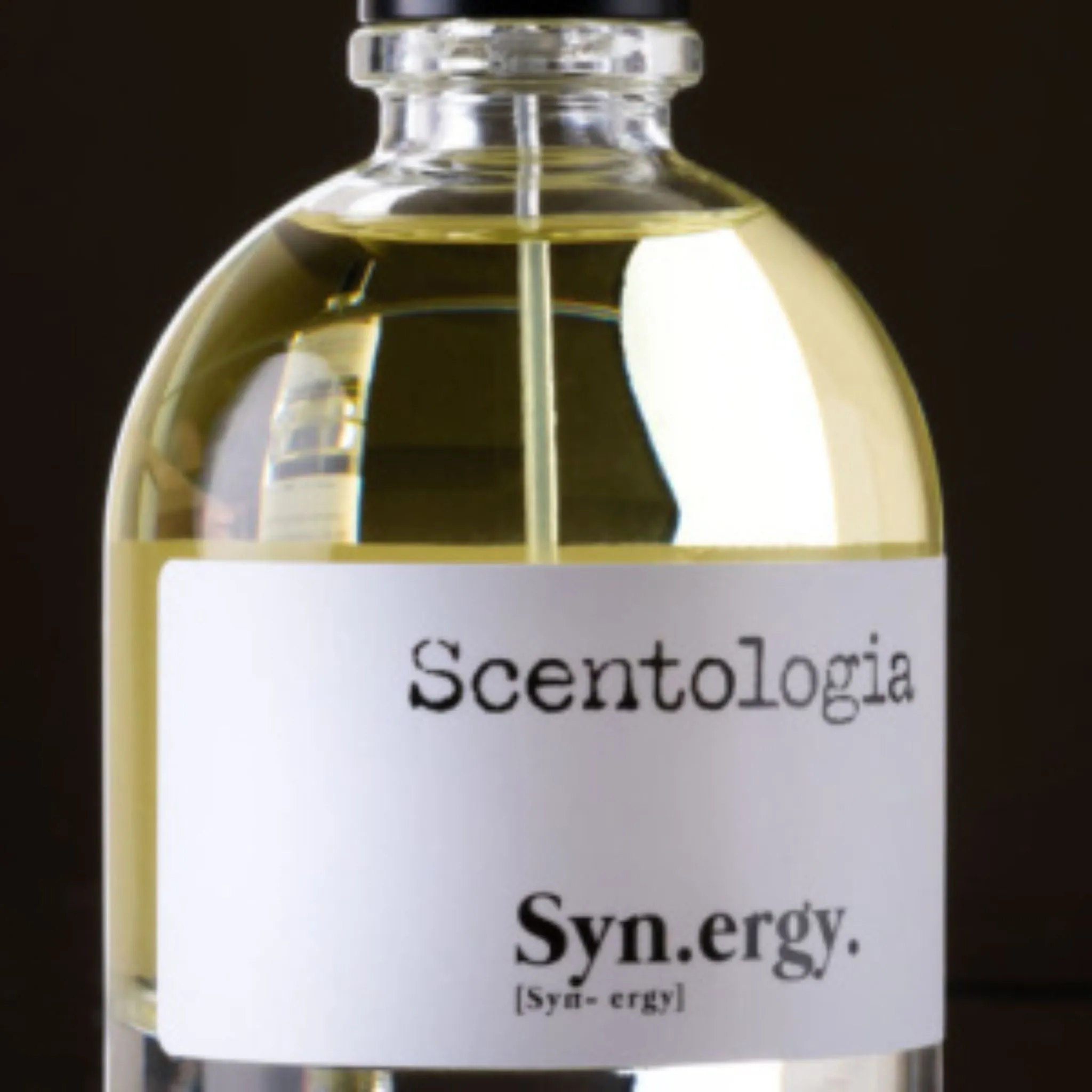 Synergy Syn.ergy