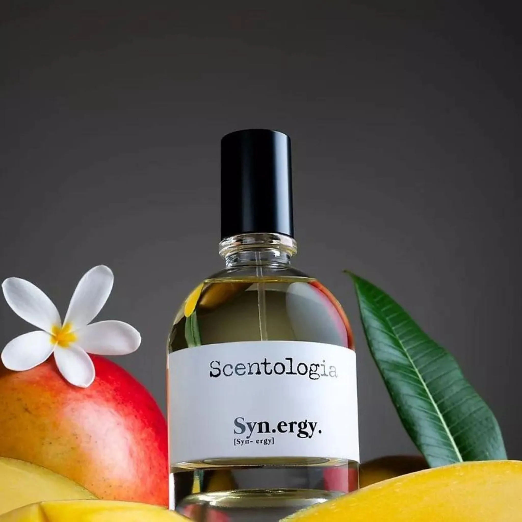 Synergy Syn.ergy