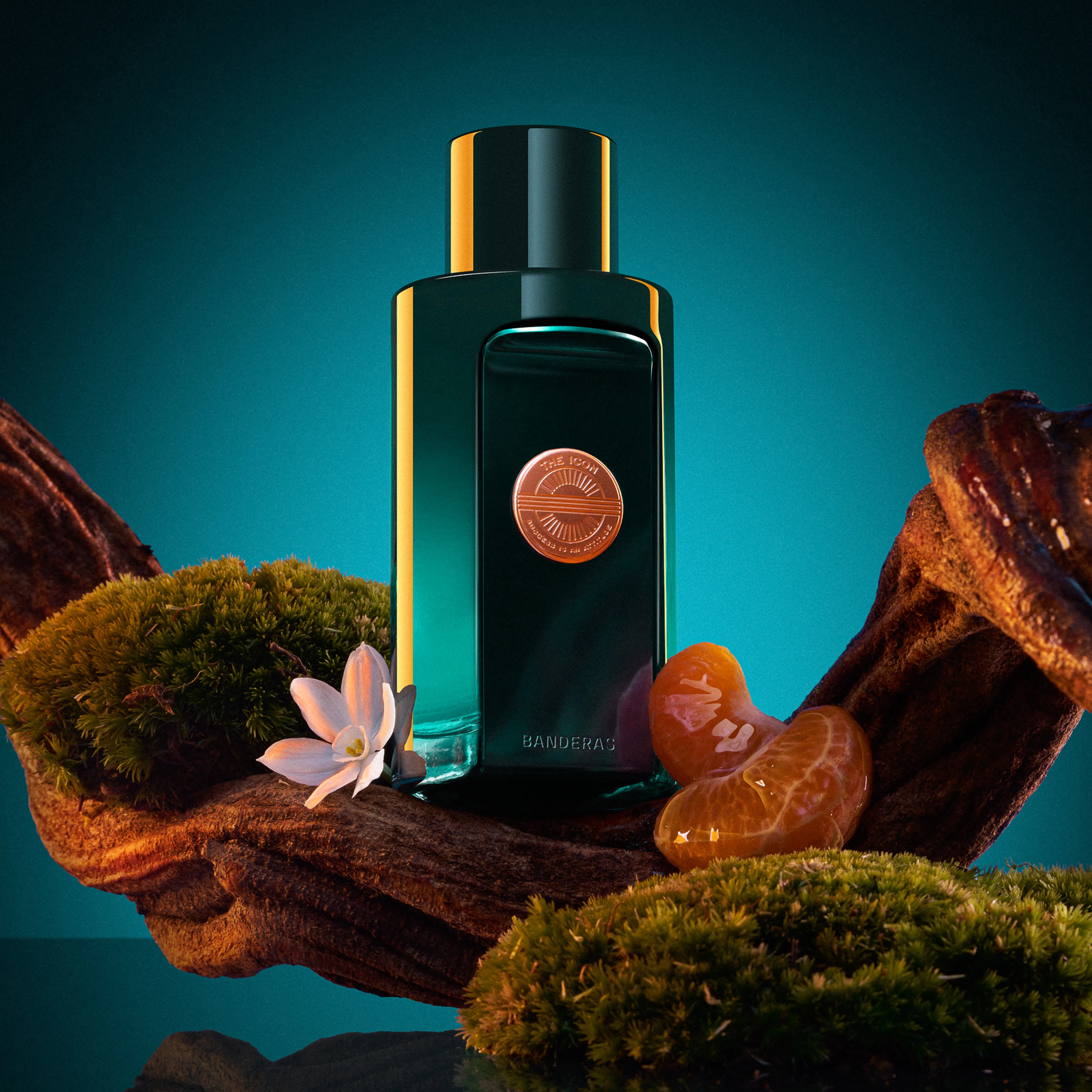 The Icon Attitude EDP