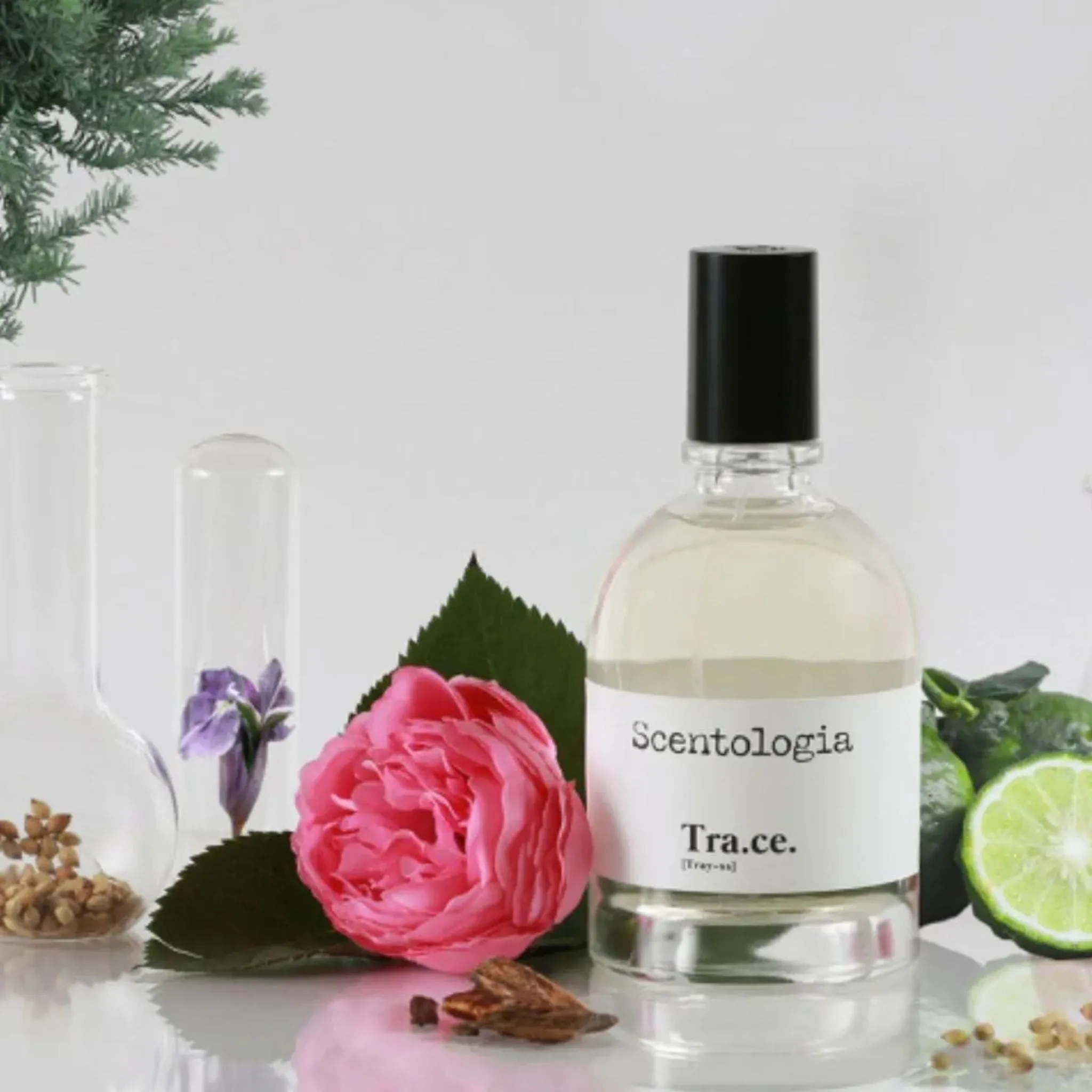 Trace Tra.ce